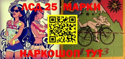 гидропоника Ставрополь