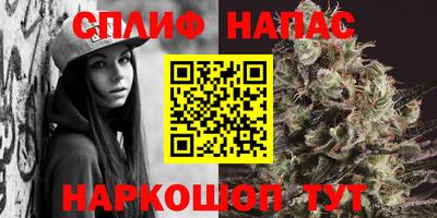 гидропоника Ставрополь