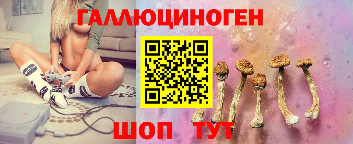 Ликино-Дулёво  Галлюциногенные грибы Psilocybine cubensis  Галлюциногенные грибы Psilocybe  Вход с VPN 